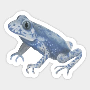 Common Midwife Toad :: Reptiles and Amphibians Sticker